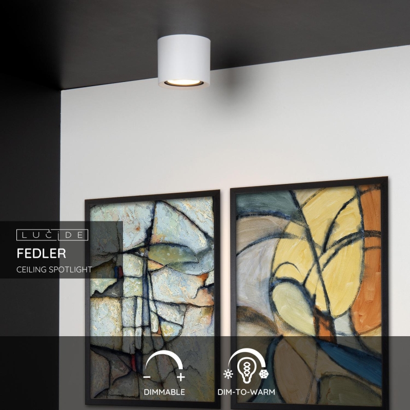 Lucide FEDLER - Stropné bodové svietidlo - Ø 12 cm - LED Dim to warm - GU10 - 1x12W 2200K/3000K - White